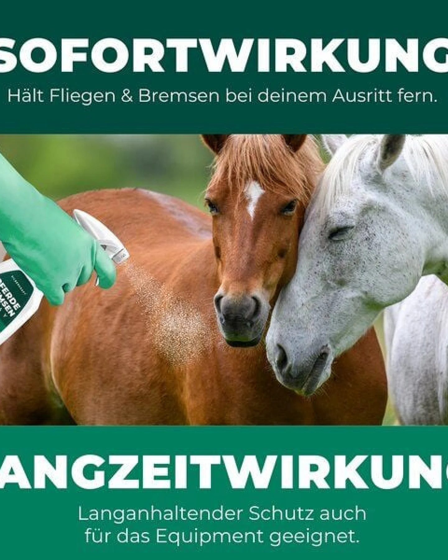 Silberkraft Bremsen-Spray für Pferde – Ansicht 4