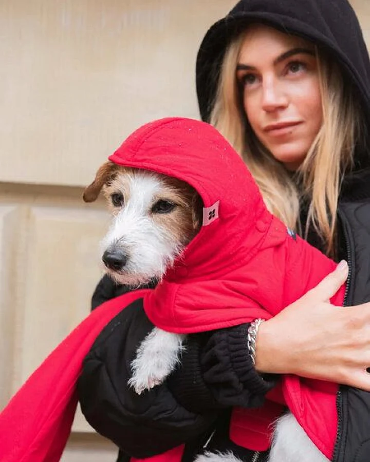 The New Orchard Dog Hoodie Navy, Rot, Blau