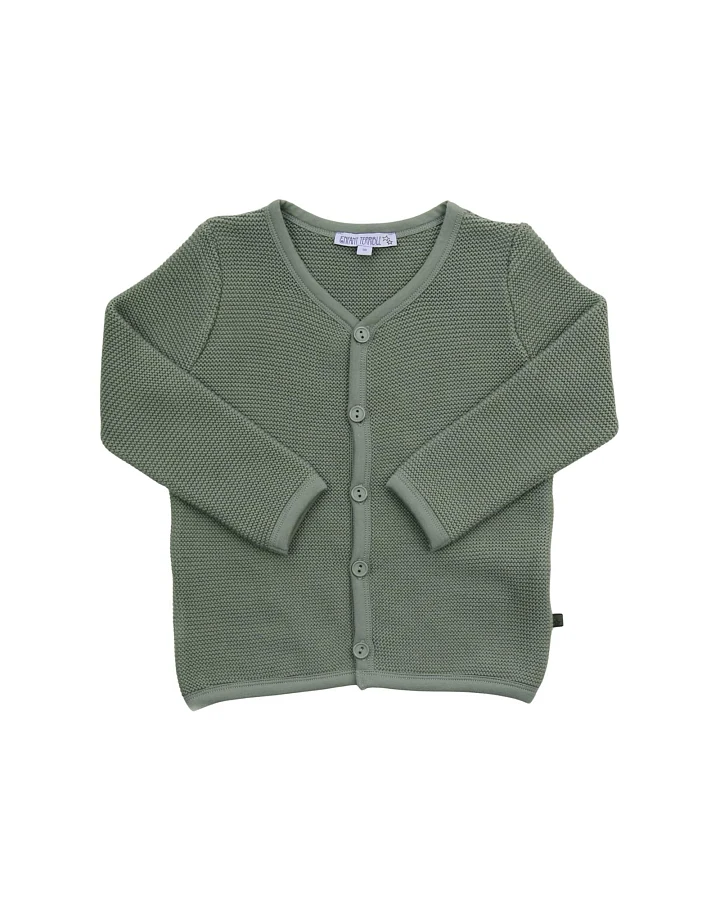Kinder Strickjacke Bio-Baumwolle sage Gr. 98