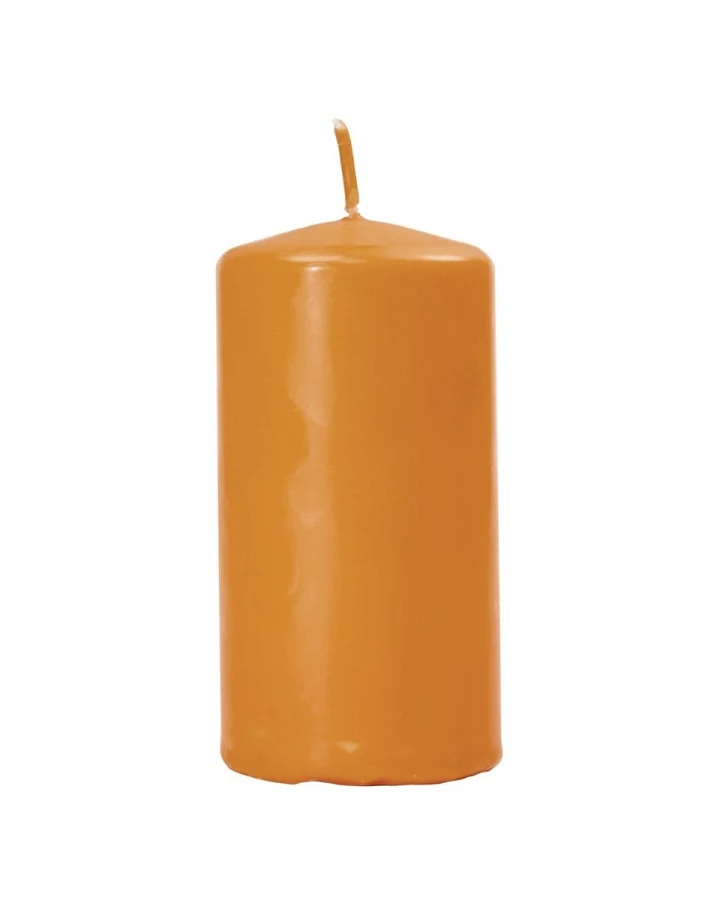Bio-Stumpenkerze mit Bienenwachsüberzug 60 x 90 mm