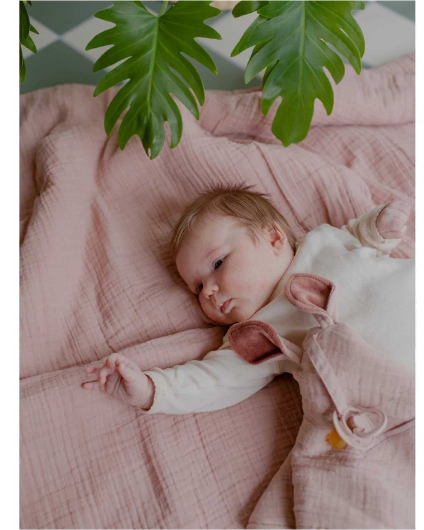 BIBS Kuschelweiches Schnuffeltuch, 3-lagig "Cuddle Kangaroo Desert" blush Maße 40 x 40 cm – Ansicht 2