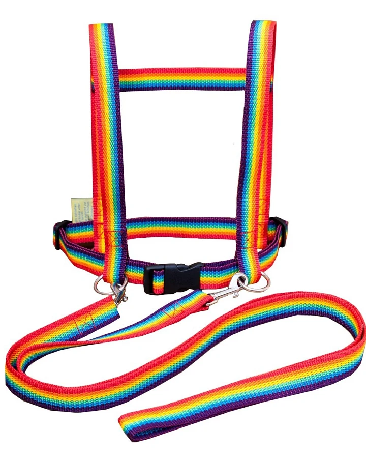 Pferdeleine und Halfter zum Spielen, Regenbogen Maße 11 x 23 x 6,5 cm