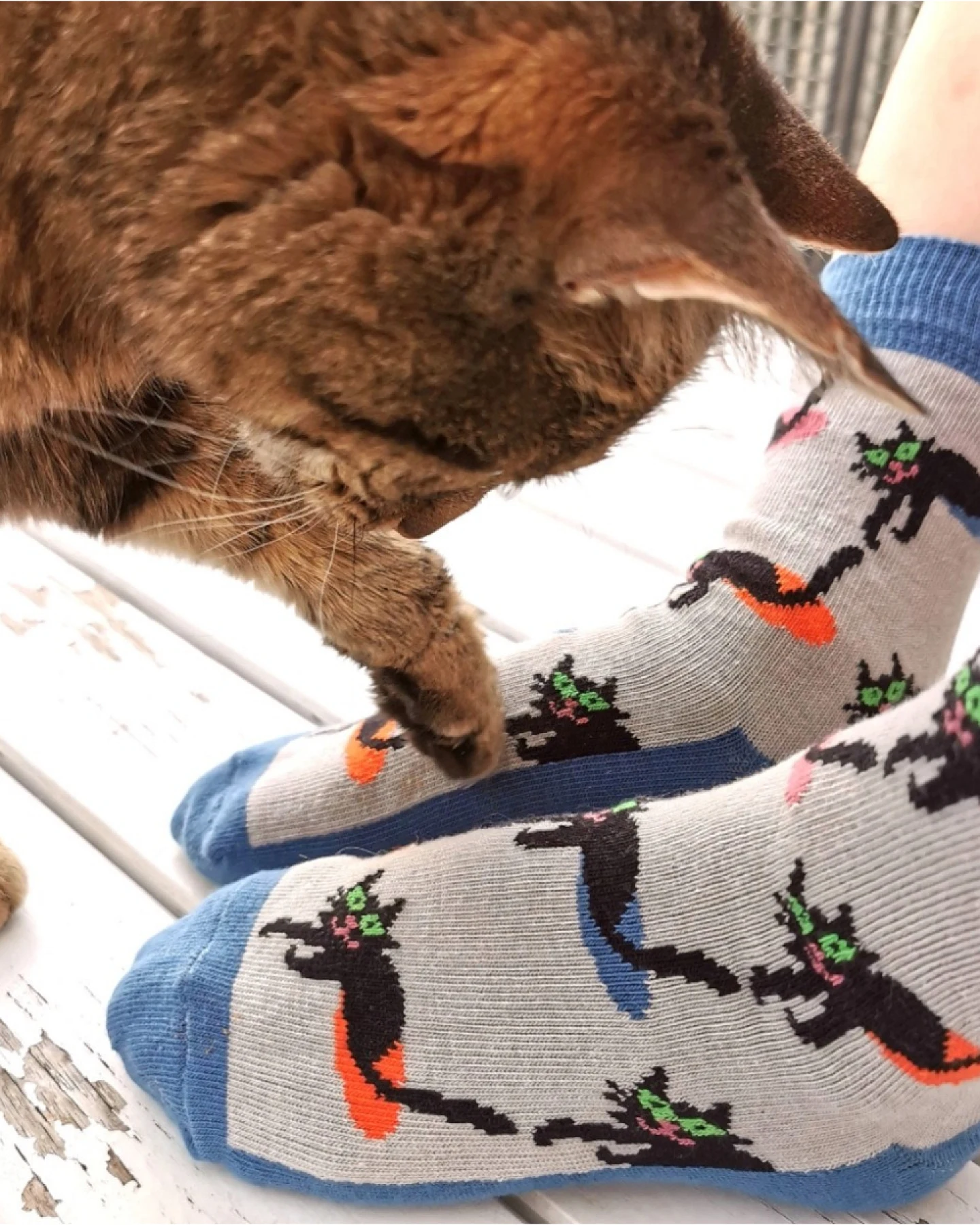 Baby- und Kindersocken Schwarze Katze Gr.27/30 – Ansicht 2