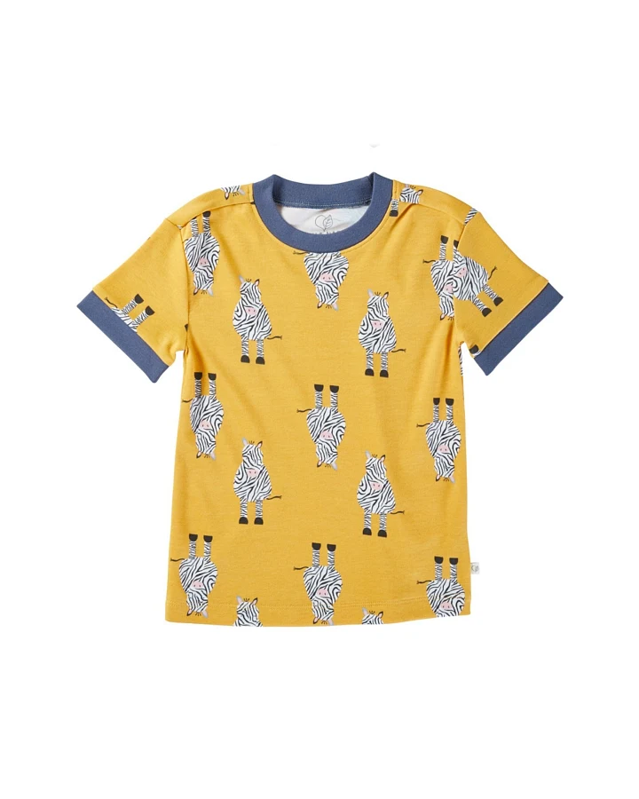 Kinder T-Shirt Bio-Baumwolle Zebrafreunde curry Gr.98/104