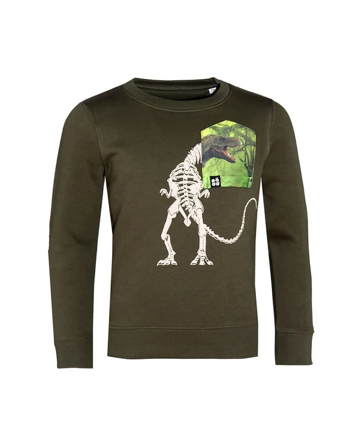 Kinder Pullover "T-Rex BT" khaki 3-4 Jahre