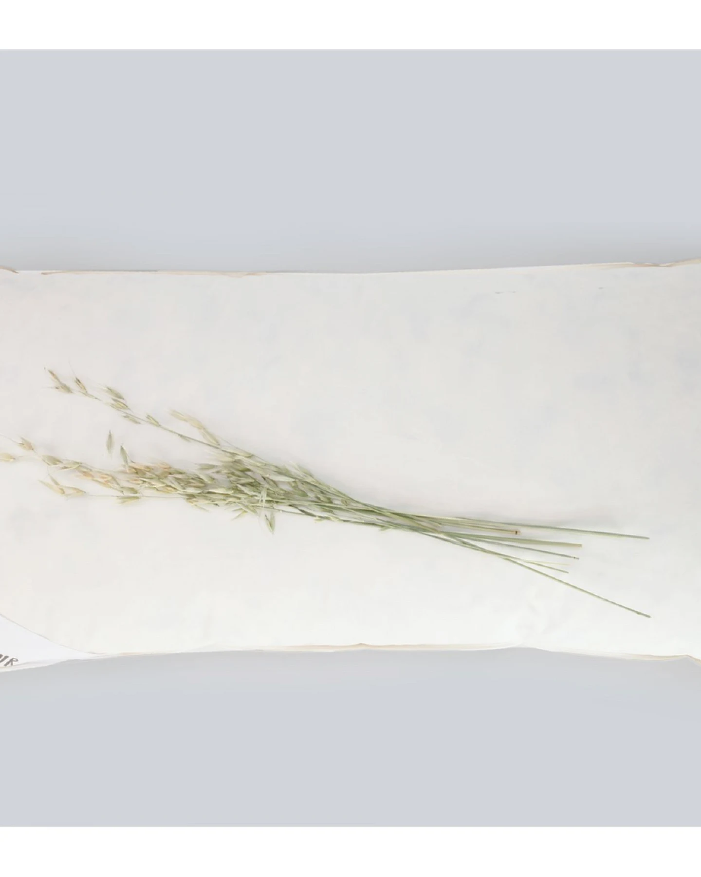 Daunen-Feder-Kopfkissen 40 x 80 cm, 530 g – Ansicht 2