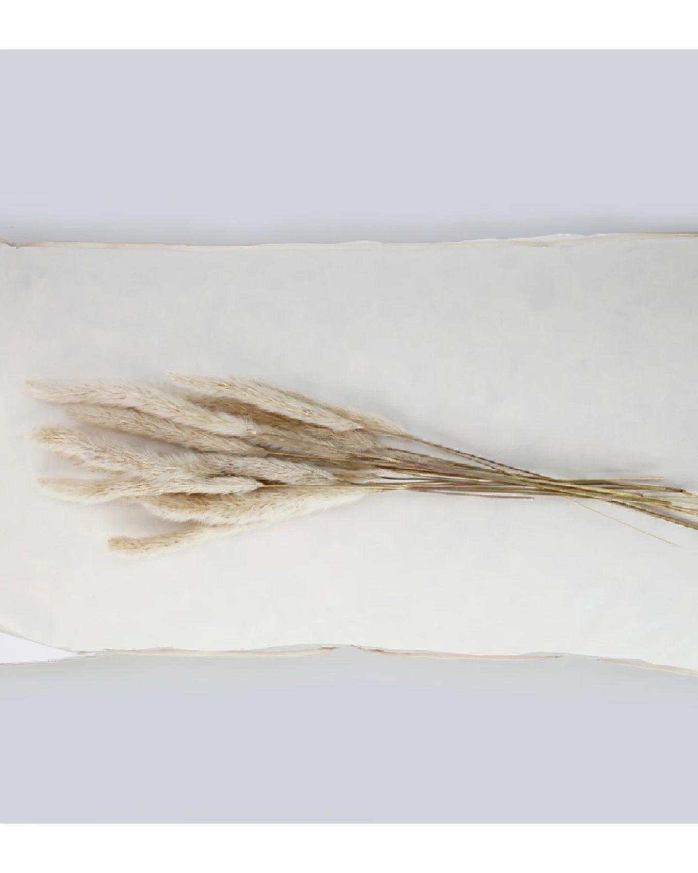 Feder-Daunen-Kissen 40 x 80 cm, 630 g – Ansicht 2