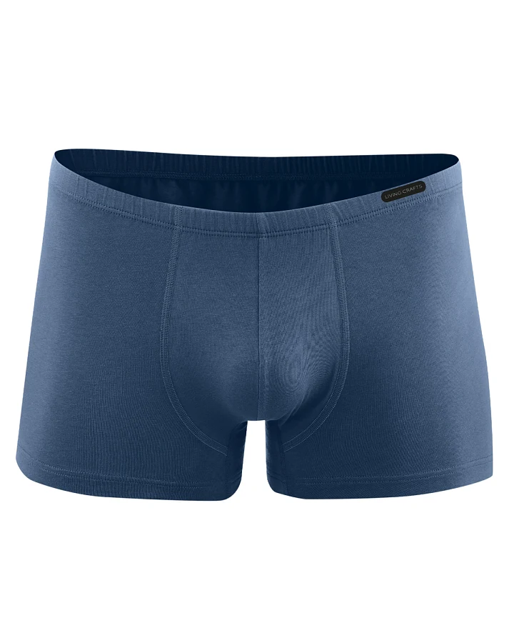 Herren Pants Blau