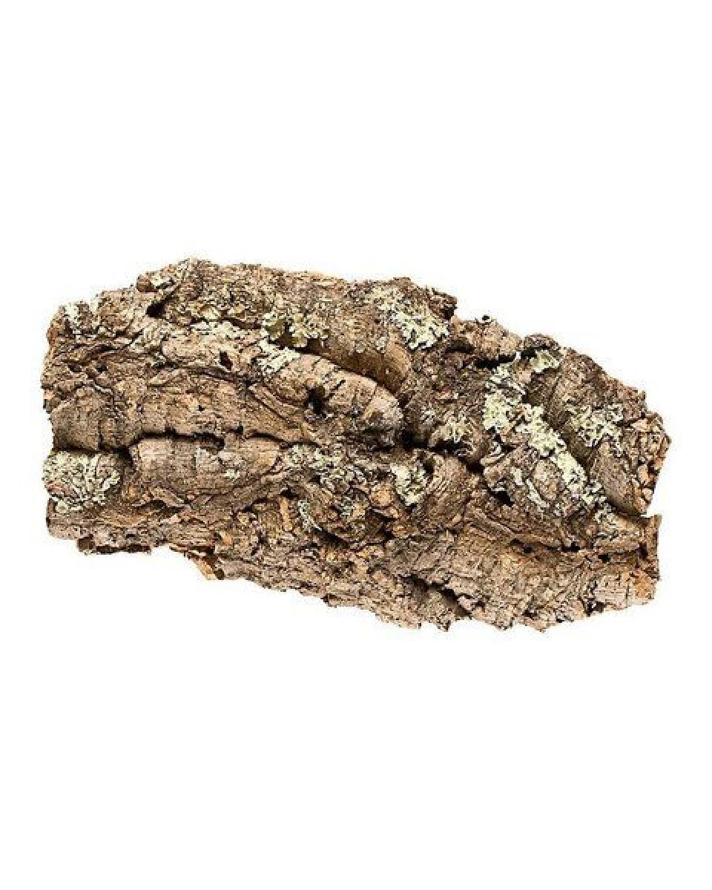 Kork-Deko Korkrinde: Korkstück, 30 x 15 cm – Ansicht 4