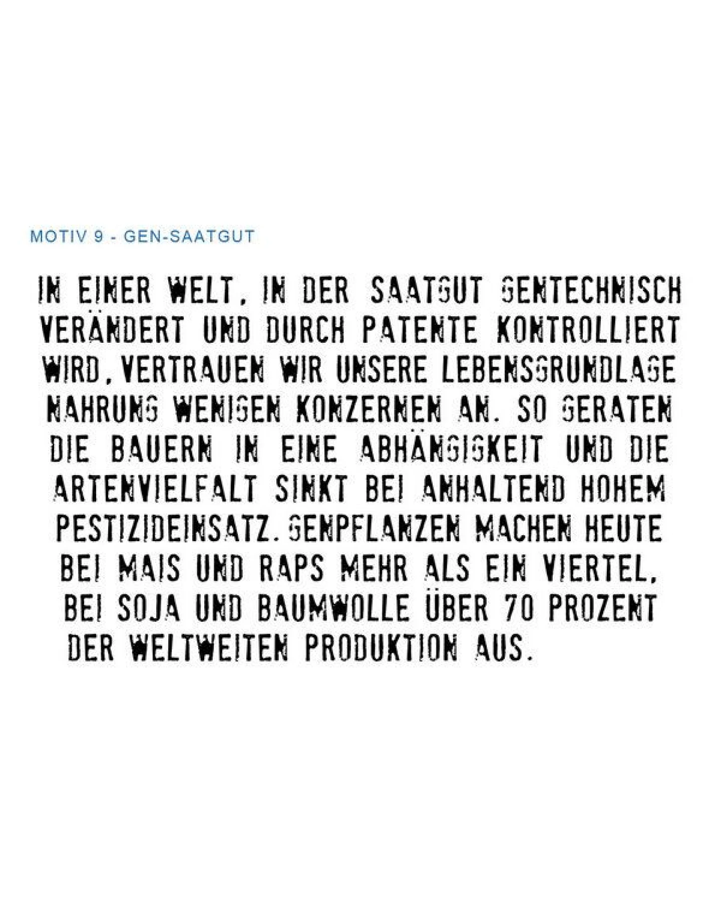 Lena Schokolade Schal "Aufklärer" meliert versch. Farben – Ansicht 4
