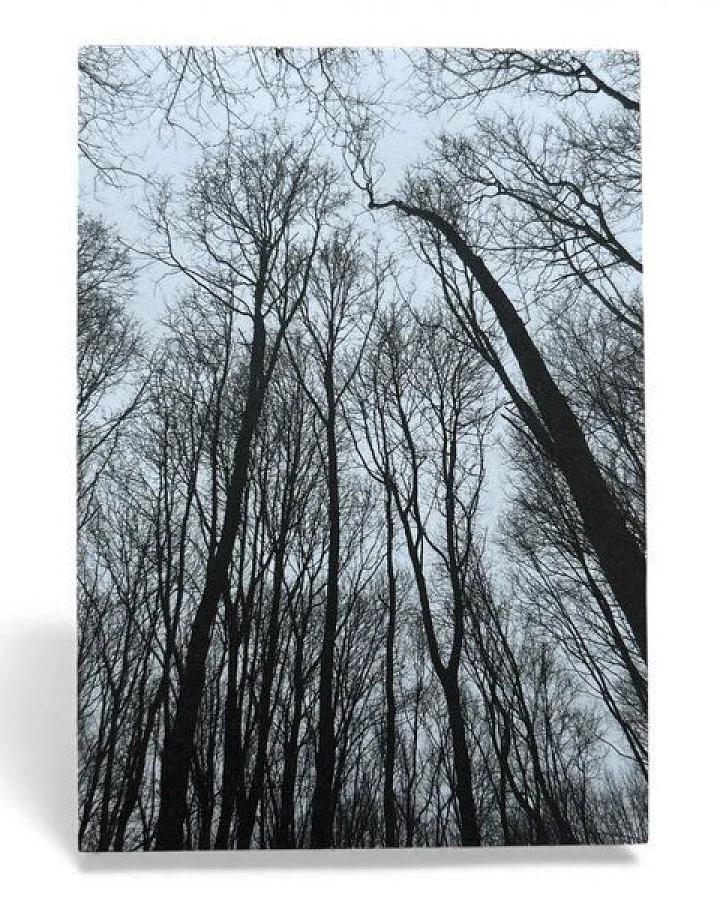 ilovemixtapes A6 Postkarte „Forest“ – Minimalistisches Waldmotiv auf PEFC-zertifiziertem Offsetpapier