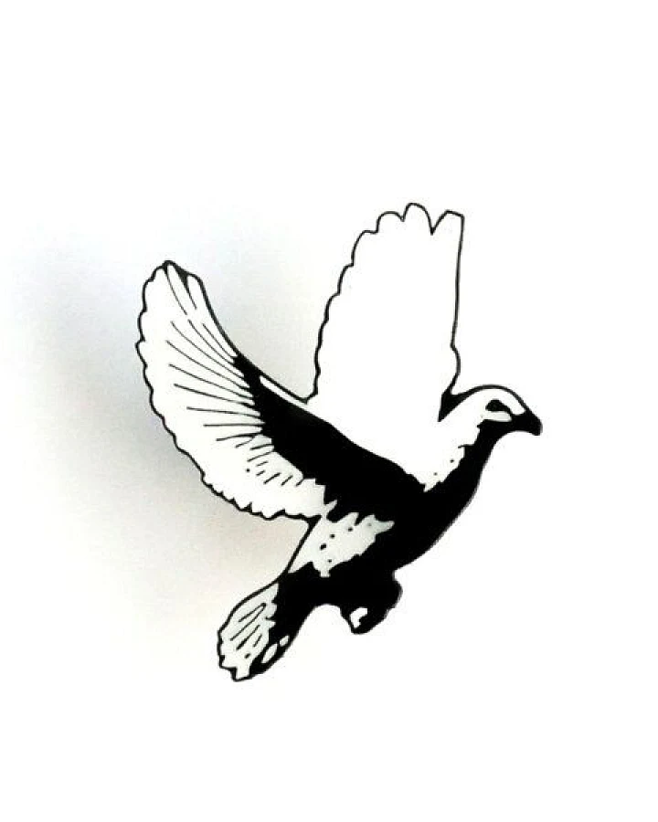 roots of compassion Anstecker Vogel - Pin, Button, Emaille, Tiere, Tierliebe, Vögel, Freiheit, Frieden