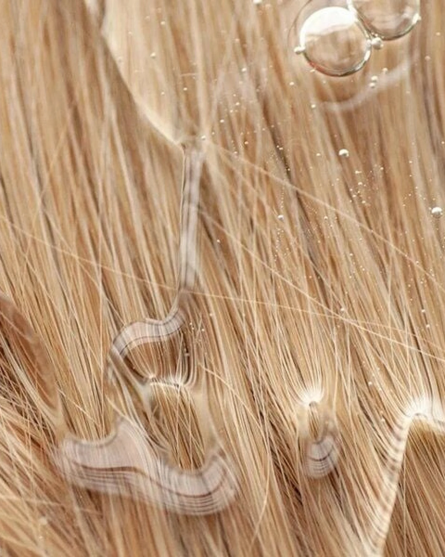 Zero Skin Feuchtigkeitsspendendes Shampoo - 290 ml - sanfte Reinigung & intensive Hydration mit Bio-Aloe Vera, Zuckerkomplex & Honig, für geschmeidiges glänzendes Haar mit Ginkgo & Klette – 99% natürlichen Ursprungs & COSMOS Natural zertifiziert – Ansicht 4