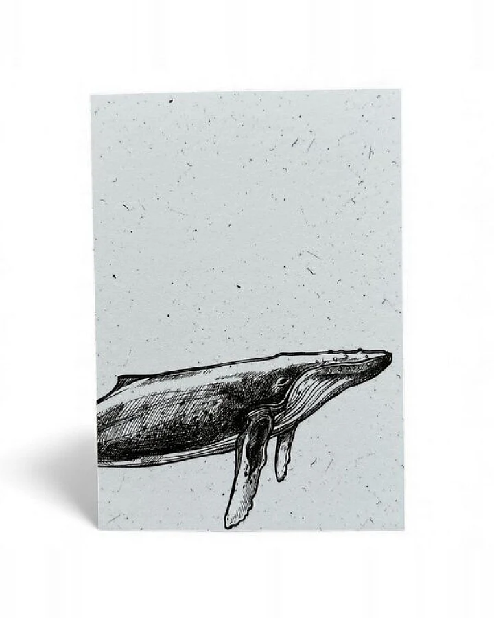 ilovemixtapes Postkarte „Whale“ – Minimalistisches Walmotiv in Schwarz-Weiß für Meer- & Designliebhaber