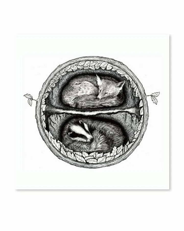 roots of compassion Postkarte Fuchs & Dachs