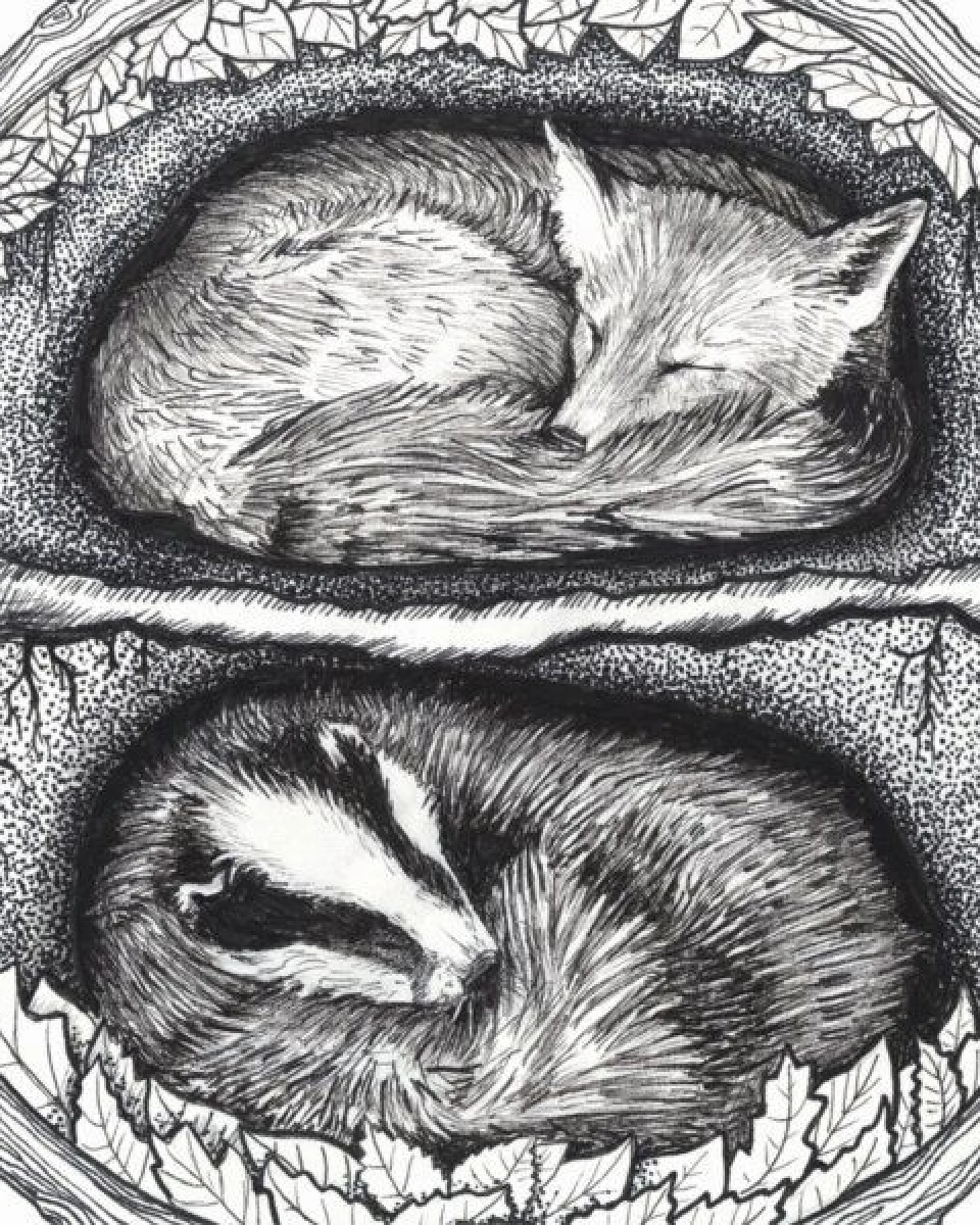 roots of compassion Postkarte Fuchs & Dachs – Ansicht 2