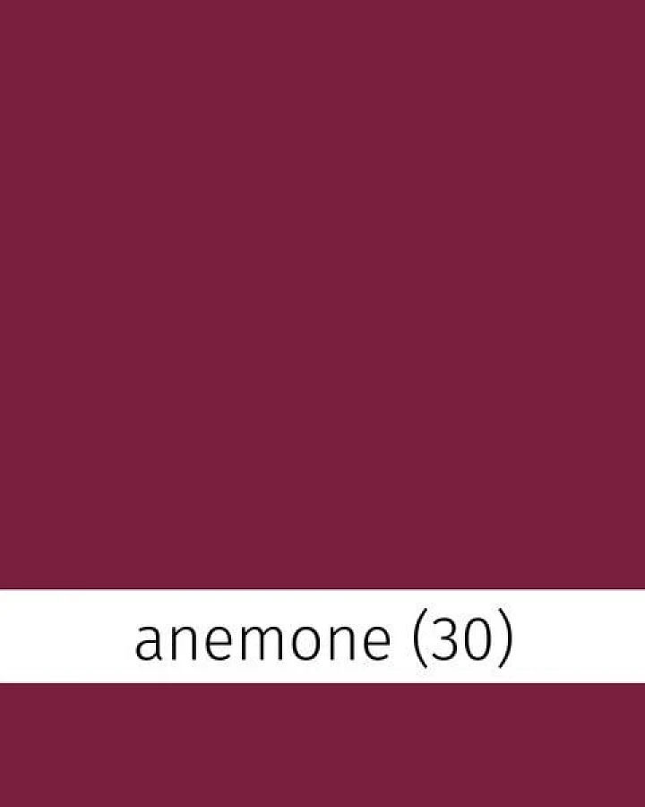 Anemone