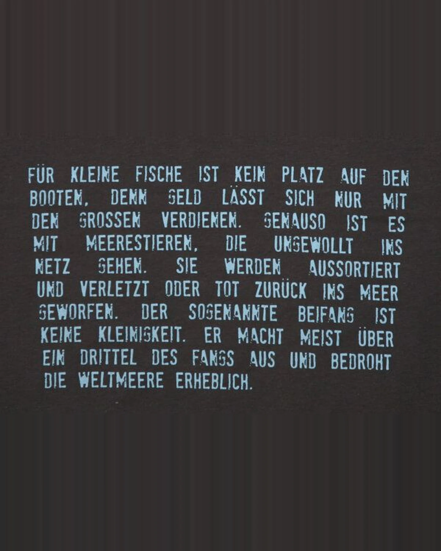 Lena Schokolade T-Shirt "Fische-Beifang" – Ansicht 2