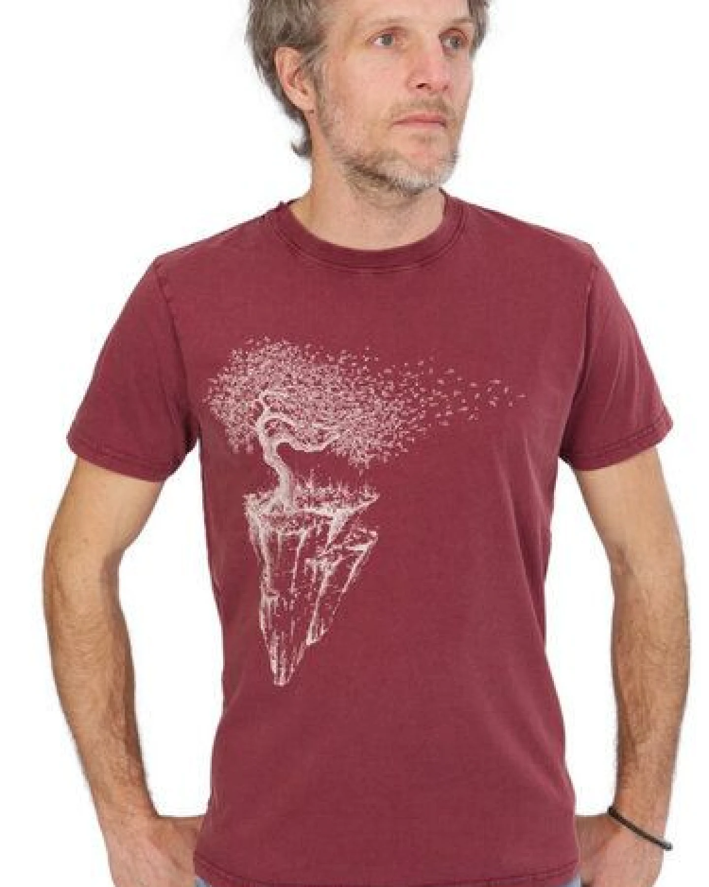 Life-Tree Fairwear Organic Shirt Men Washed Red Maple Island – Ansicht 2