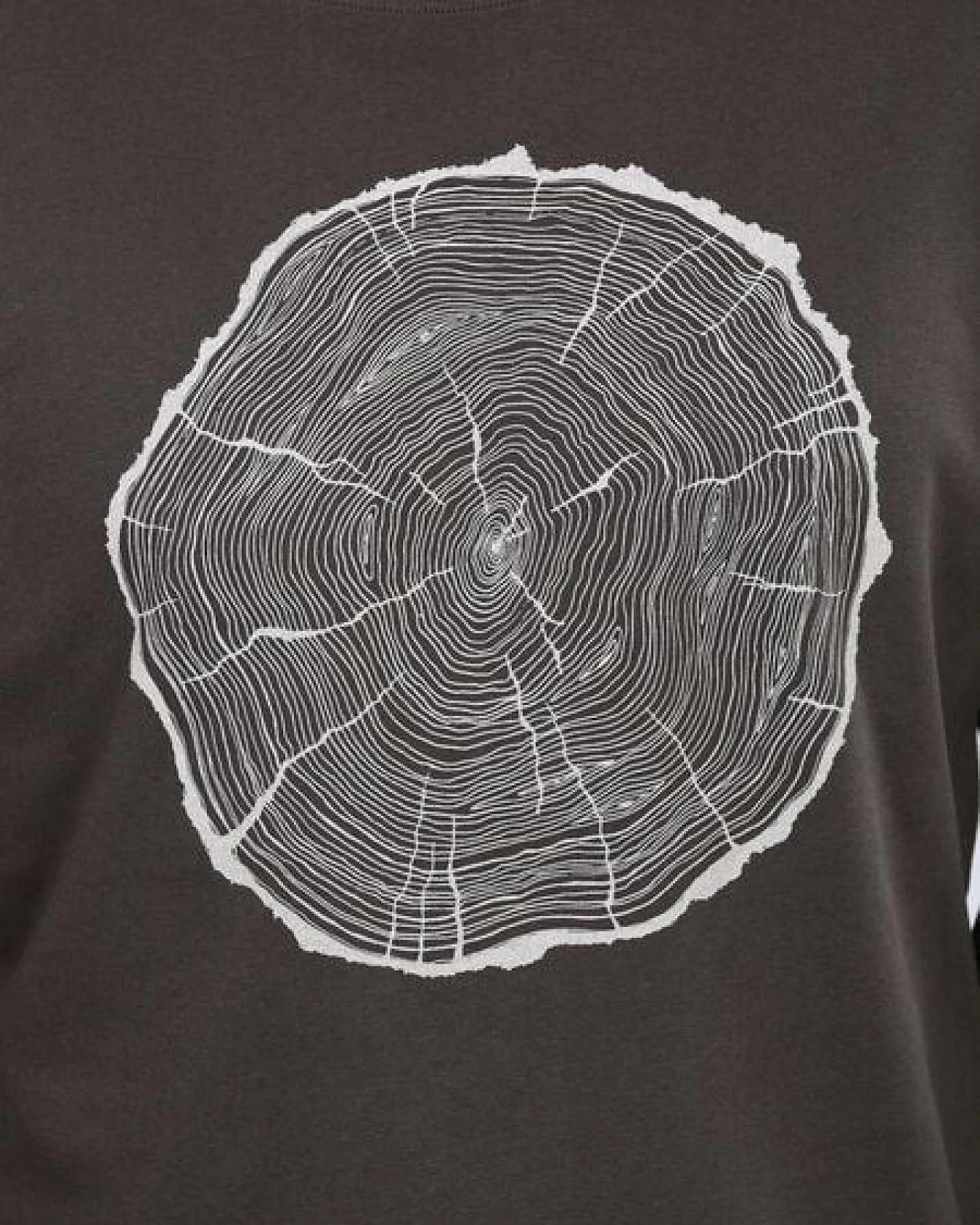 Life-Tree Longsleeve aus Biobaumwolle Fairwear für Herren "BigSlice" in Faded Black – Ansicht 4