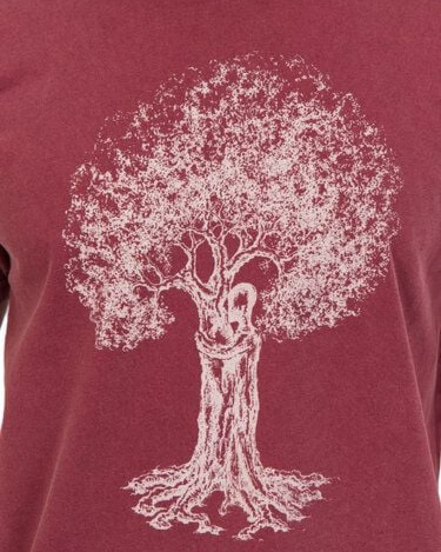 Life-Tree Organic Fairwear Shirt Men Stone Washed Red Treehugger – Ansicht 4