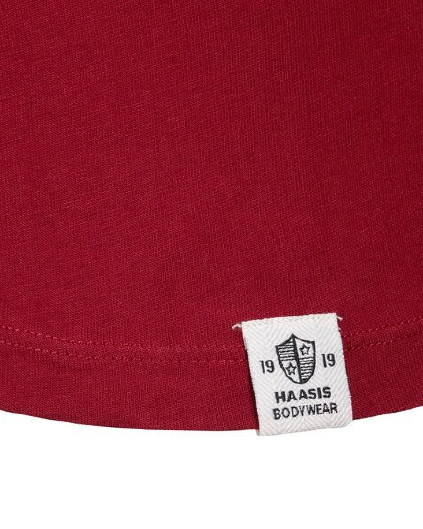 HAASIS BODYWEAR Herren Shirt mit Knopfleiste; Langarm, Single Jersey – Ansicht 4