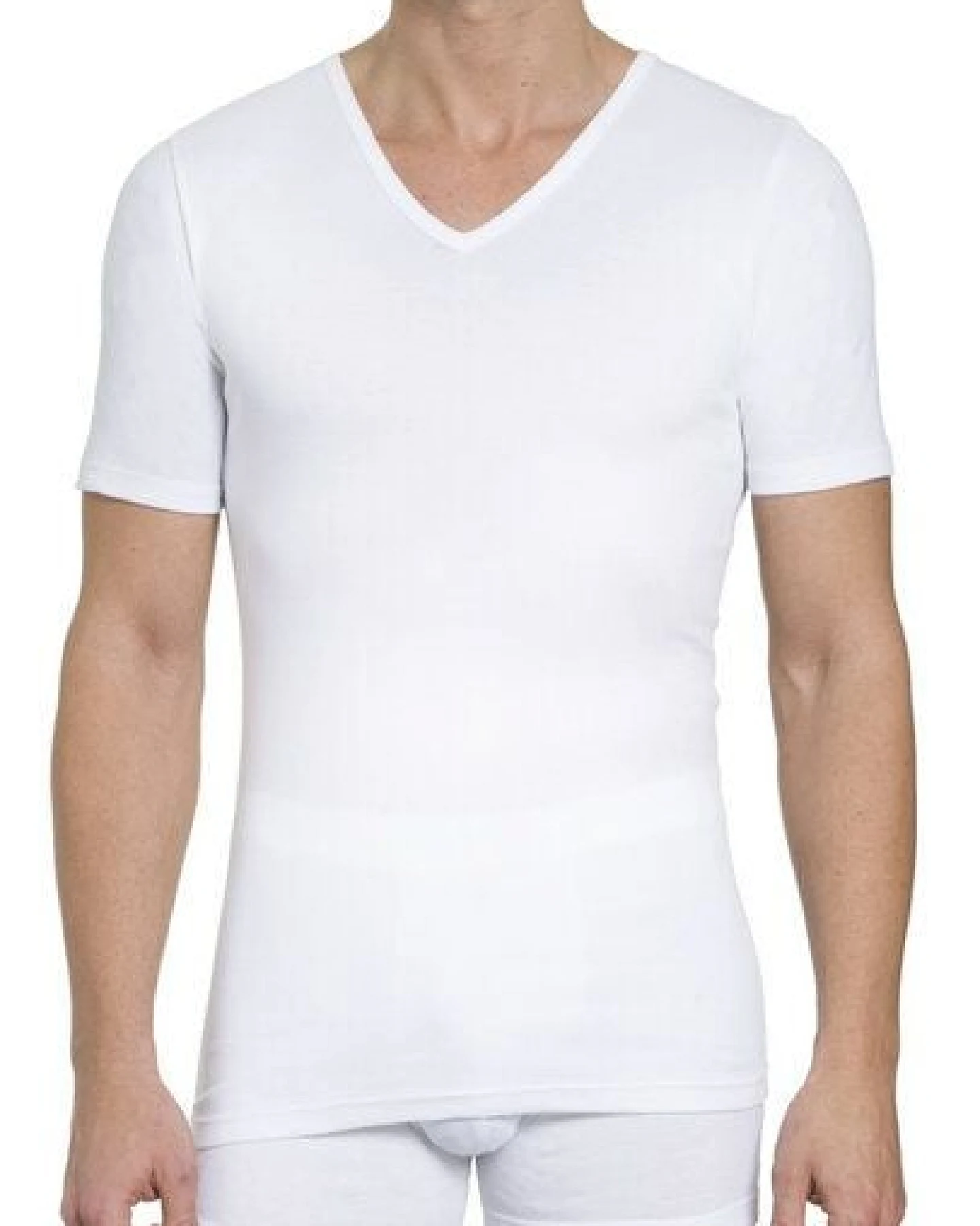 Haasis Bodywear Herren Basic Shirt V-Ausschnitt Feinripp 2er Pack – Ansicht 4