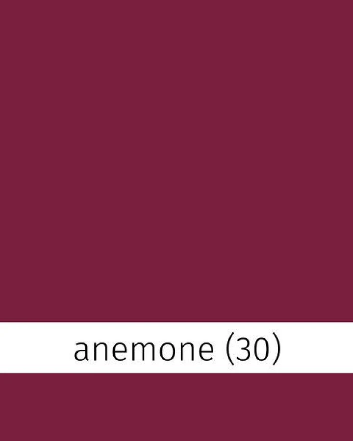 Anemone