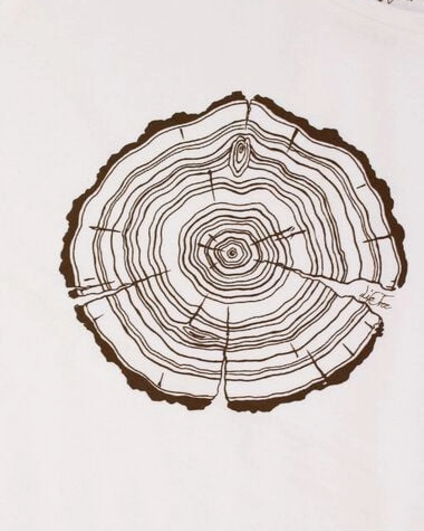 Life-Tree Shirt aus Biobaumwolle Fairwear für Damen "Treeslice" in Washed White – Ansicht 3