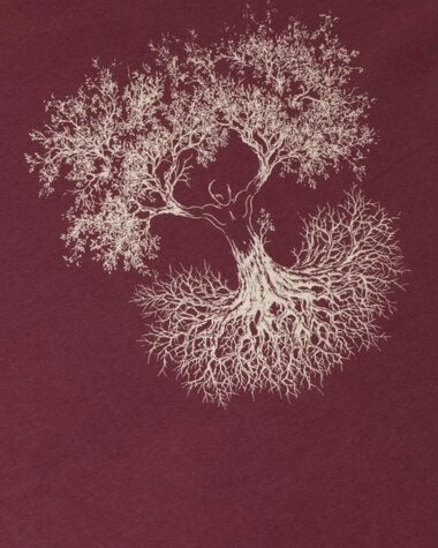Life-Tree Shirt aus Biobaumwolle Fairwear für Herren "Fusion" in Washed Red – Ansicht 3