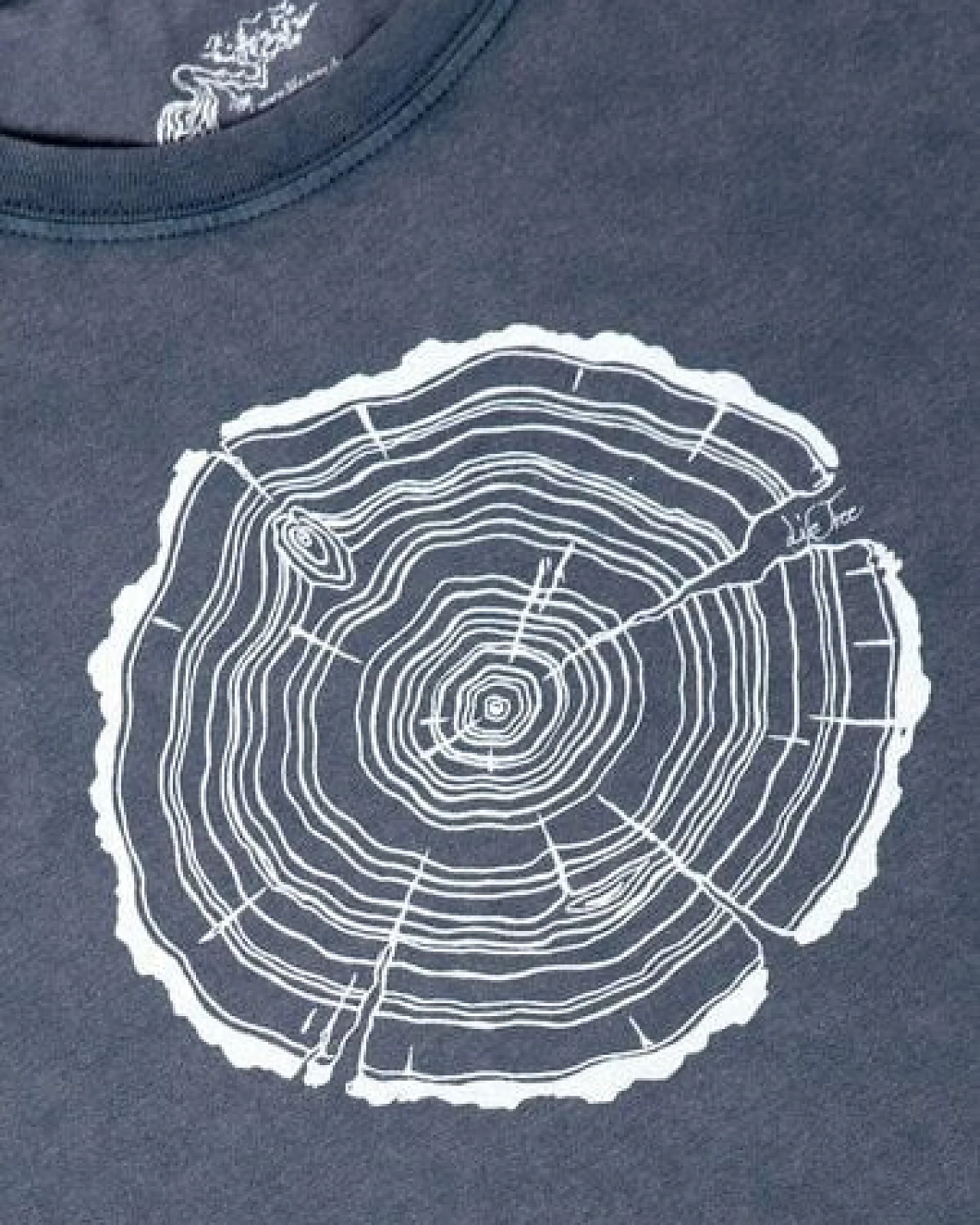 Life-Tree Shirt aus Biobaumwolle Fairwear für Herren "Treeslice" in Washed White/Blue/Red/Green – Ansicht 3