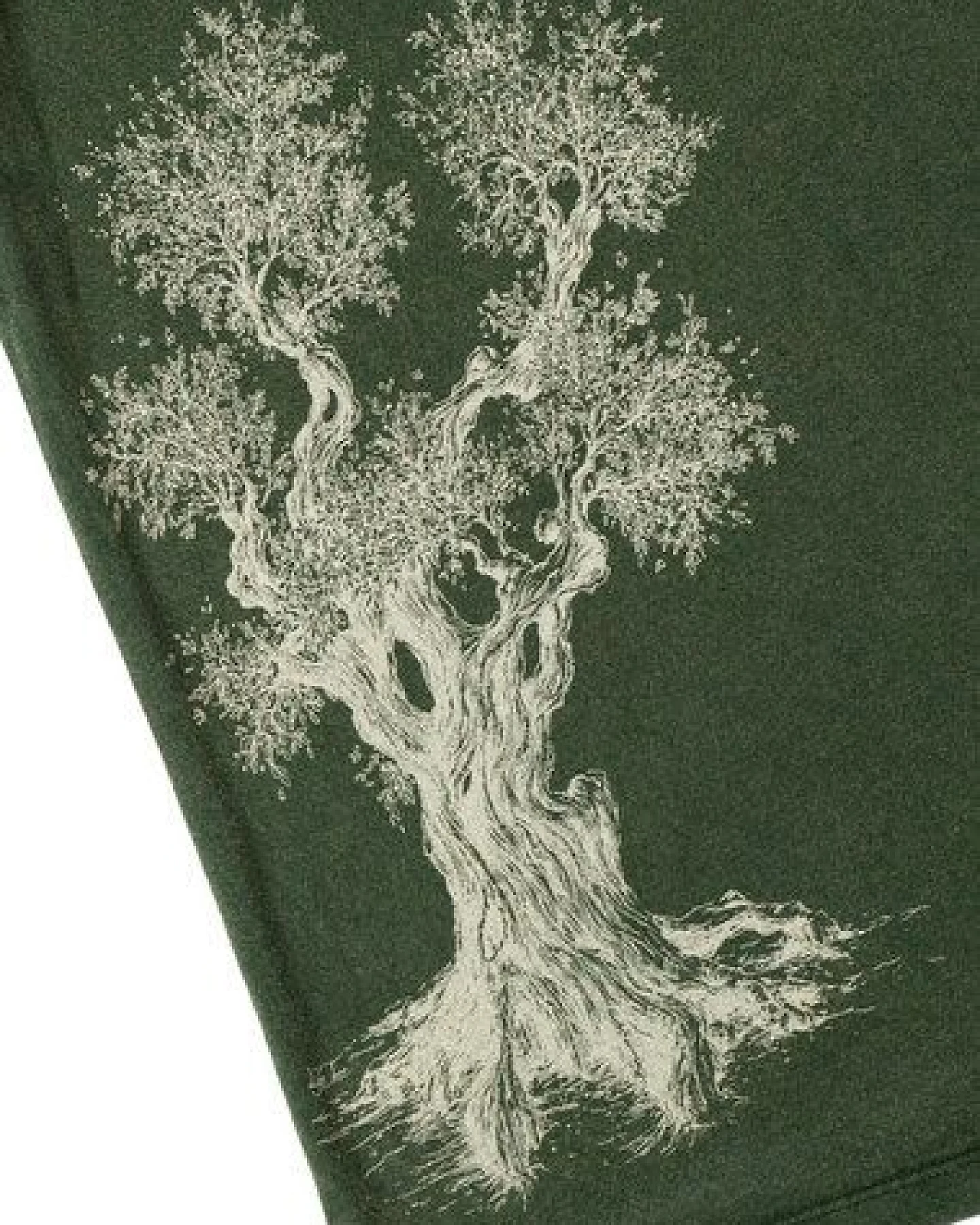 Life-Tree Shirt aus Biobaumwolle für Herren "Olive Tree" in Washed Green/Blue – Ansicht 3