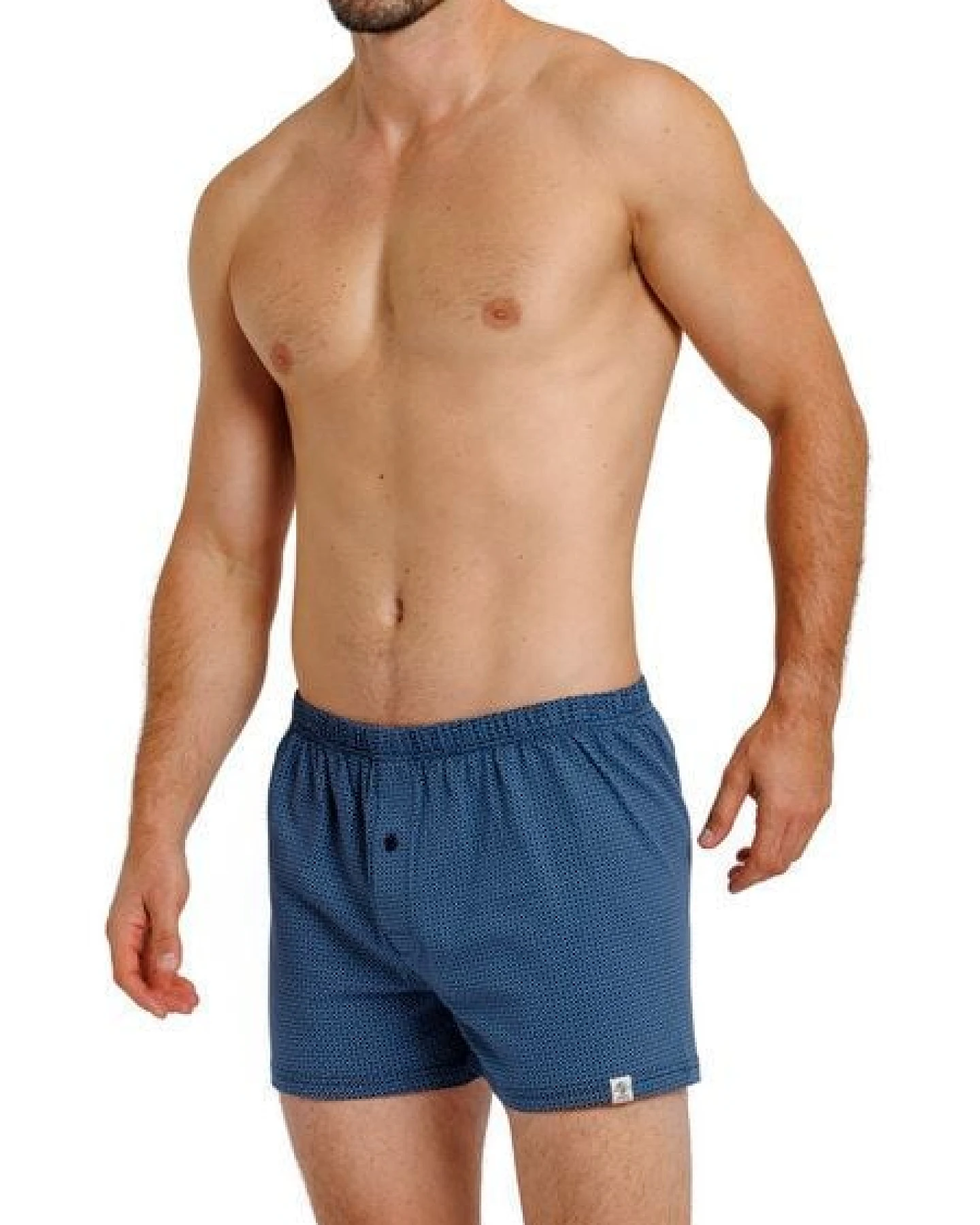 Haasis Bodywear Herren Jersey Boxer Print, mit Knopfleiste, 2er Pack, Single-Jersey – Ansicht 4