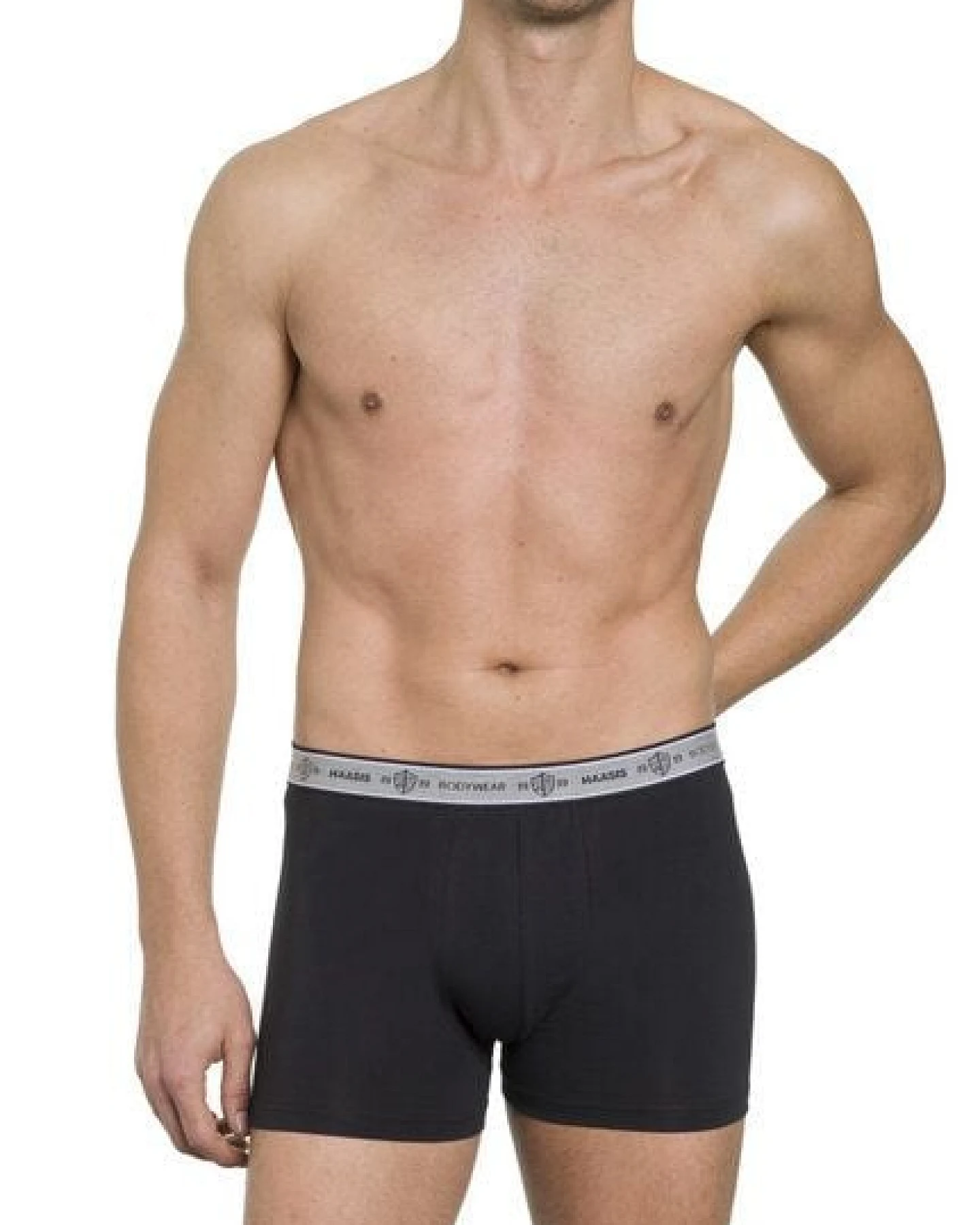 Haasis Bodywear Herren Pants 3er Pack ohne Eingriff, Single Jersey, – Ansicht 4