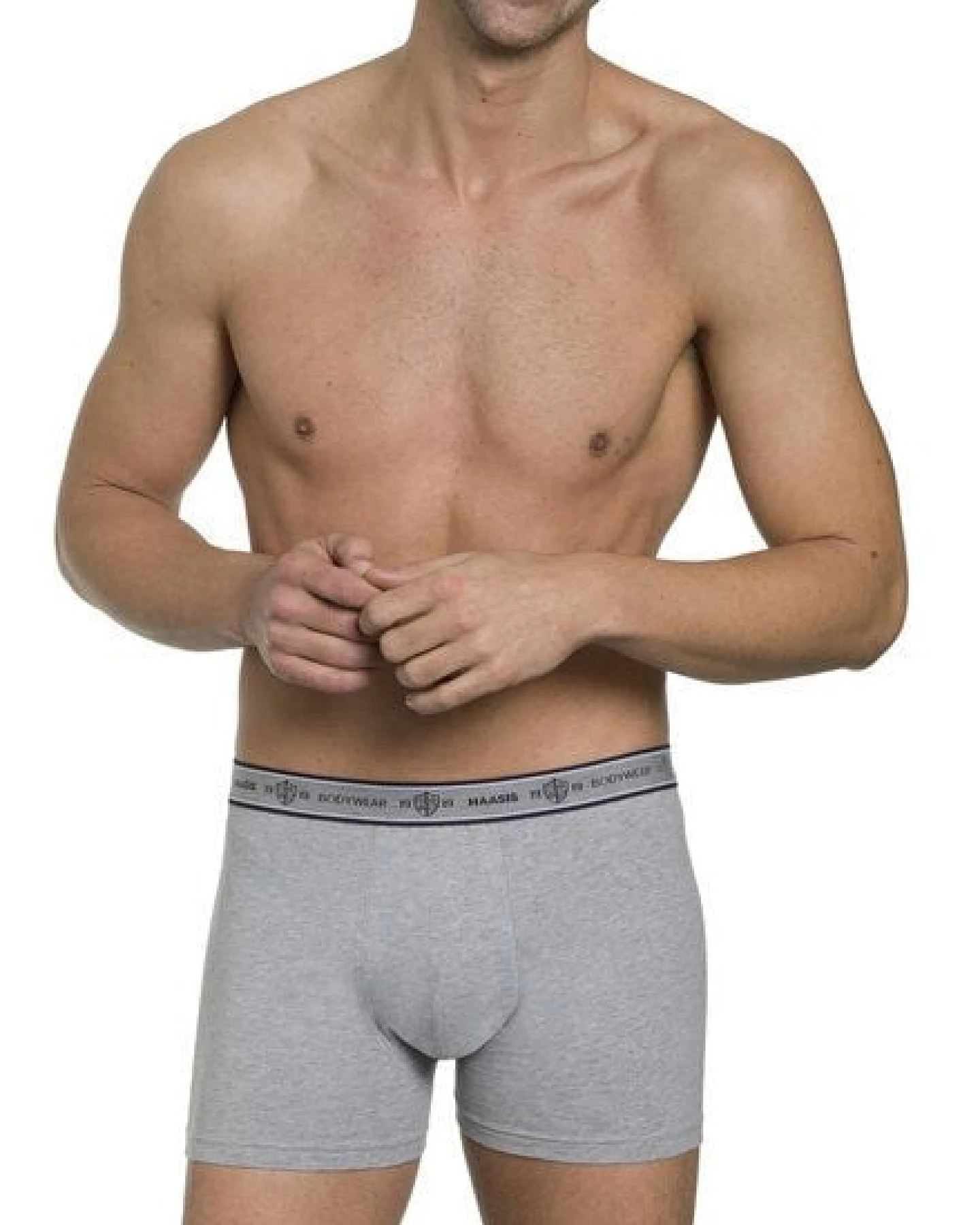 Haasis Bodywear Herren Pants 3er Pack ohne Eingriff, Single Jersey, – Ansicht 4