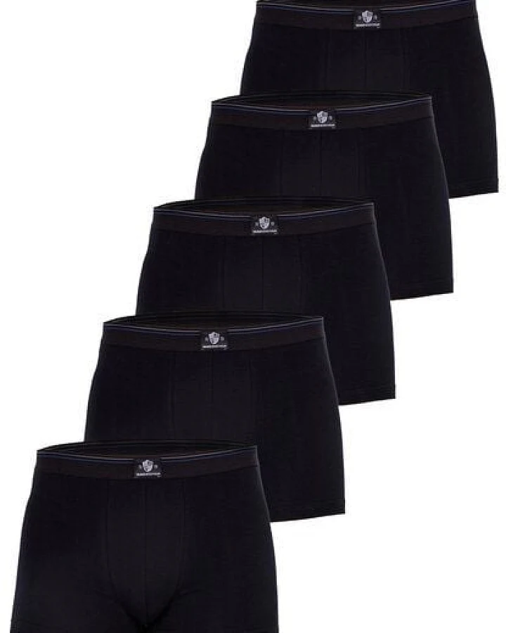 Haasis Bodywear Herren Pants 5er Pack ohne Eingriff, Single Jersey,