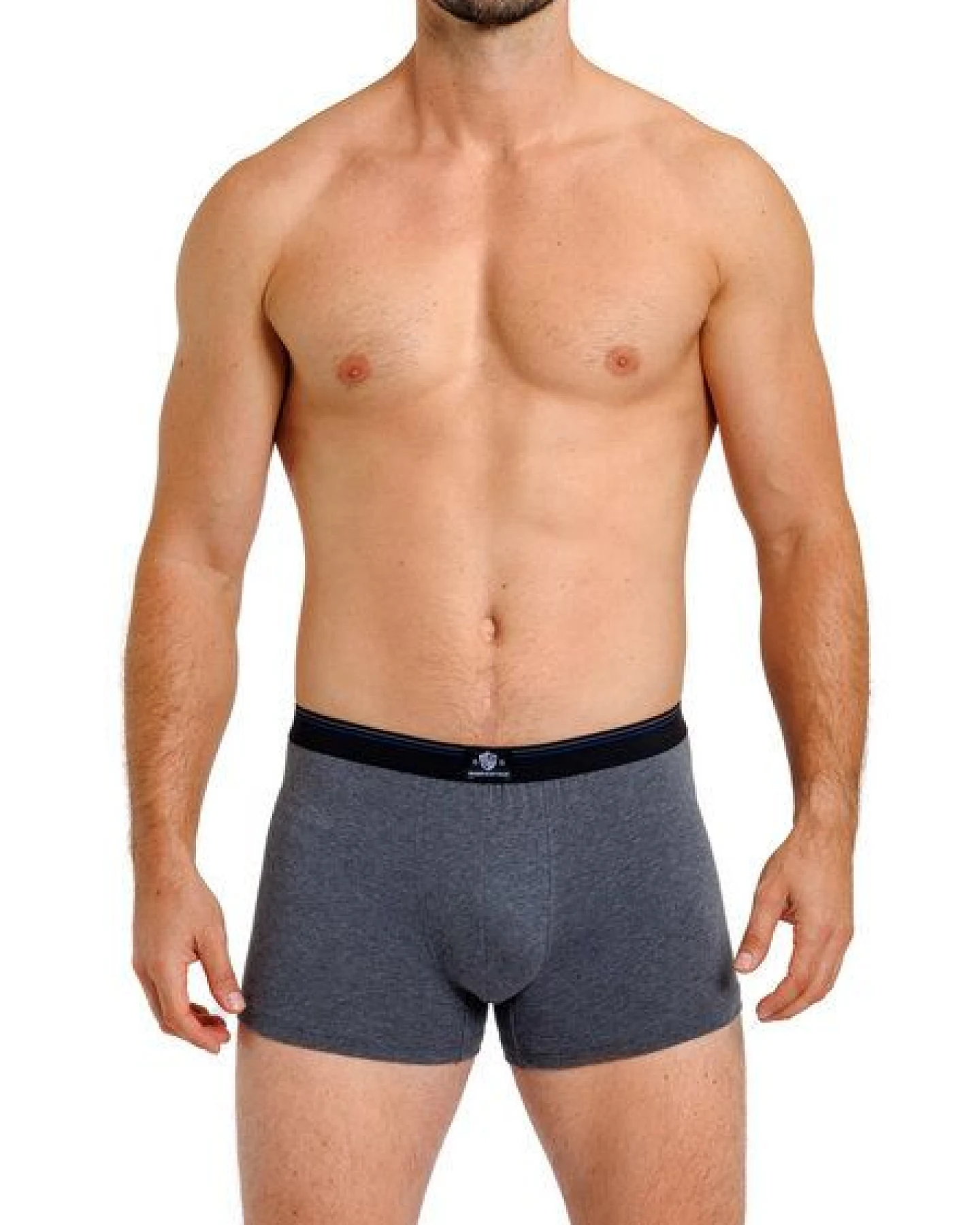 Haasis Bodywear Herren Pants 5er Pack ohne Eingriff, Single Jersey, – Ansicht 4