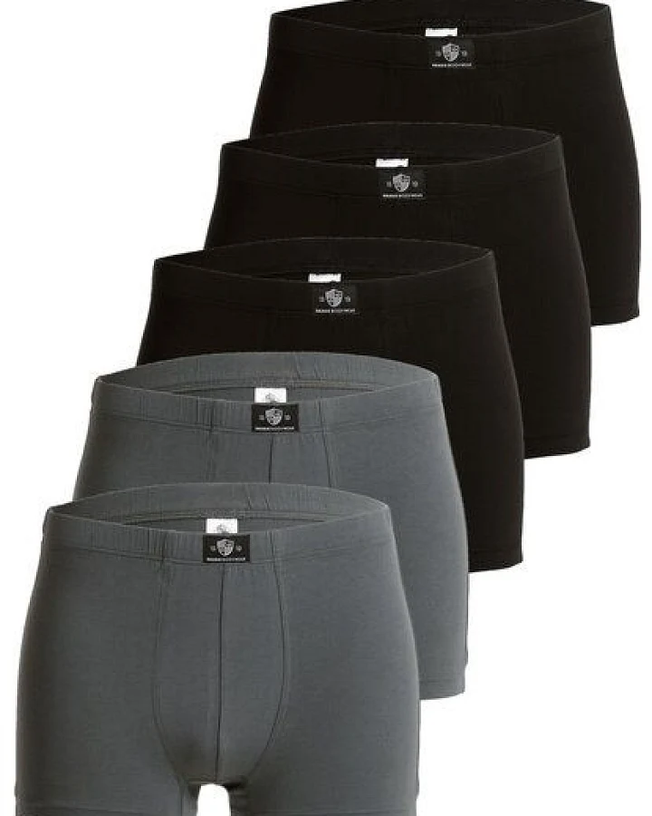 Haasis Bodywear Herren Pants, ohne Eingriff, 5er Pack, Bio Baumwolle/ Elasthan