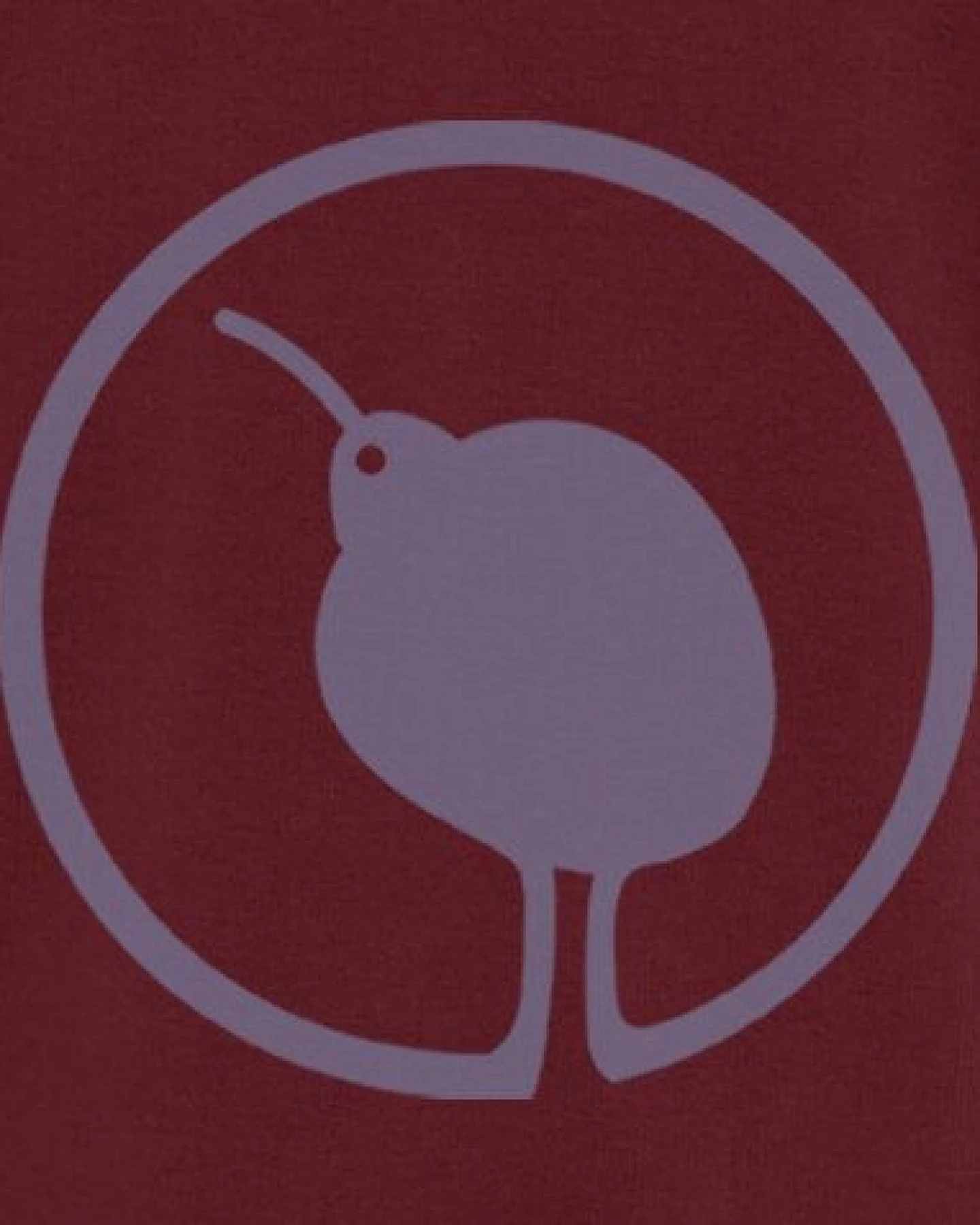 Herren Hoodie, "little kiwi", Burgundy – Ansicht 2