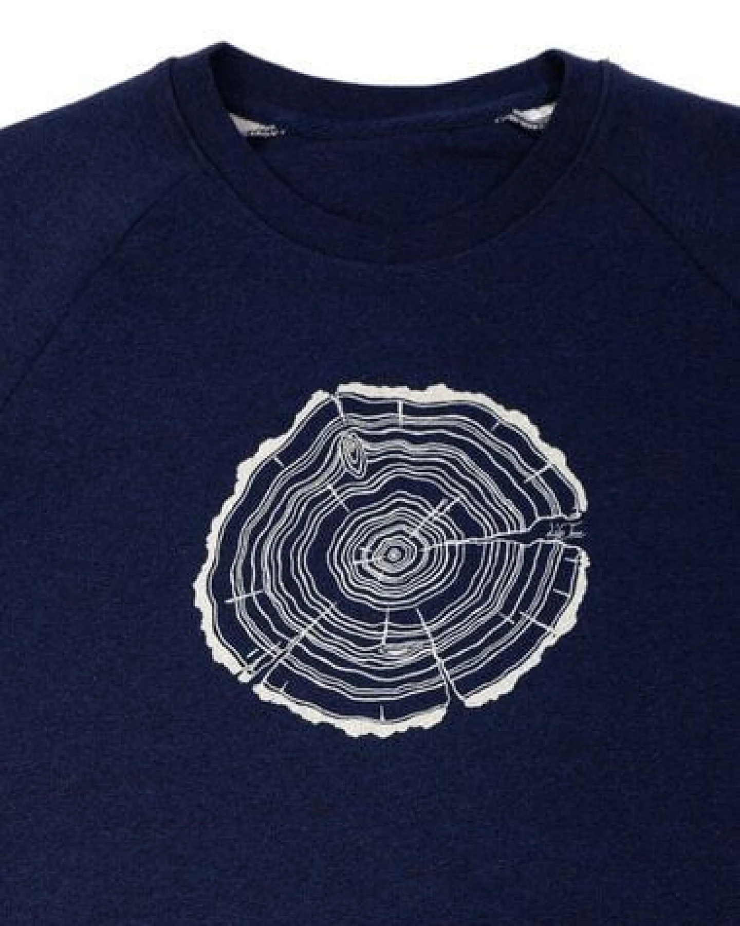 Life-Tree Sweater aus Biobaumwolle Fairwear für Herren "Treeslice" in Denim Blue – Ansicht 4