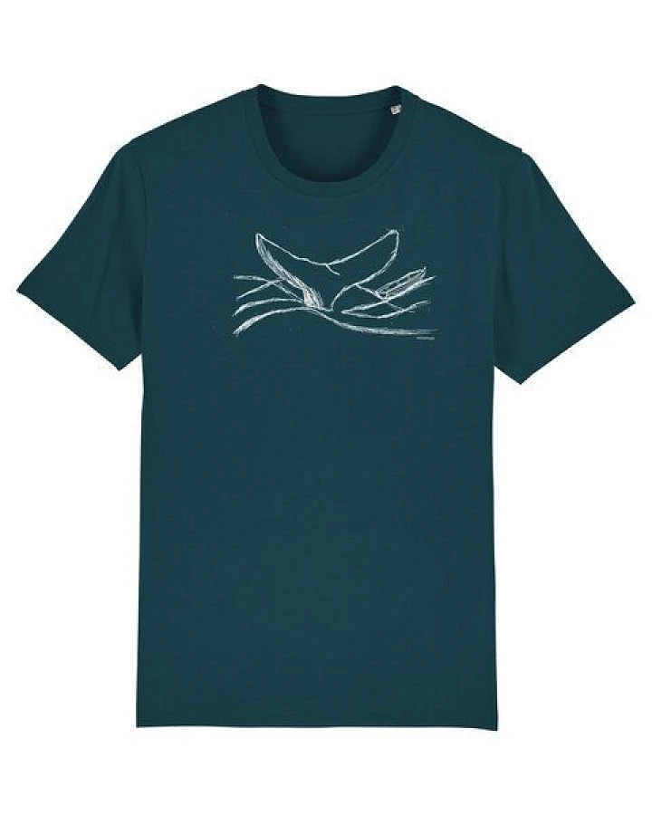 Stargazer