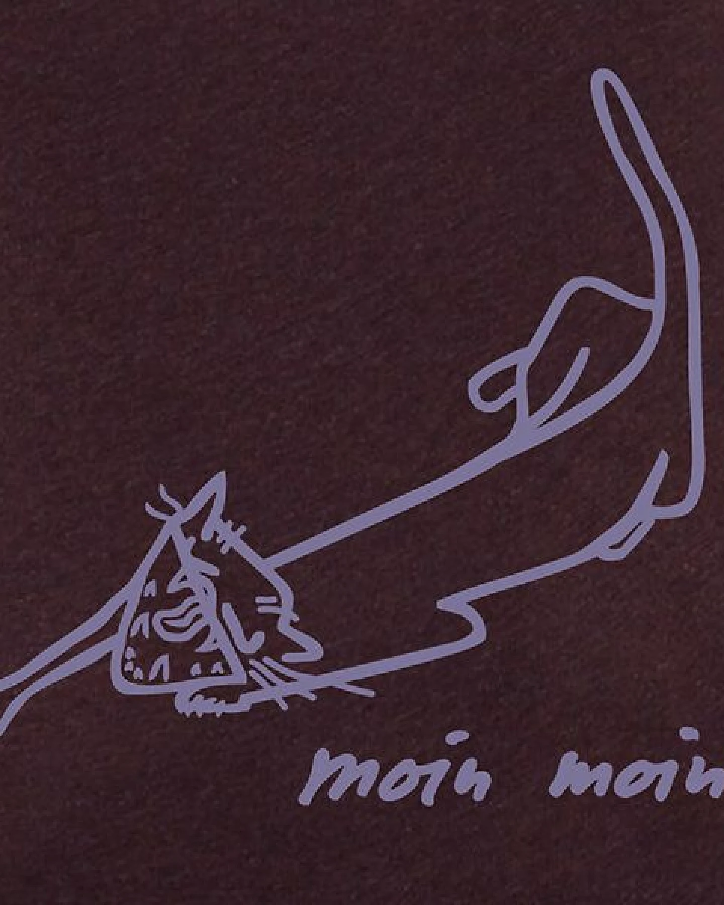 little kiwi Damen T-Shirt, "Moin Moin" – Ansicht 2
