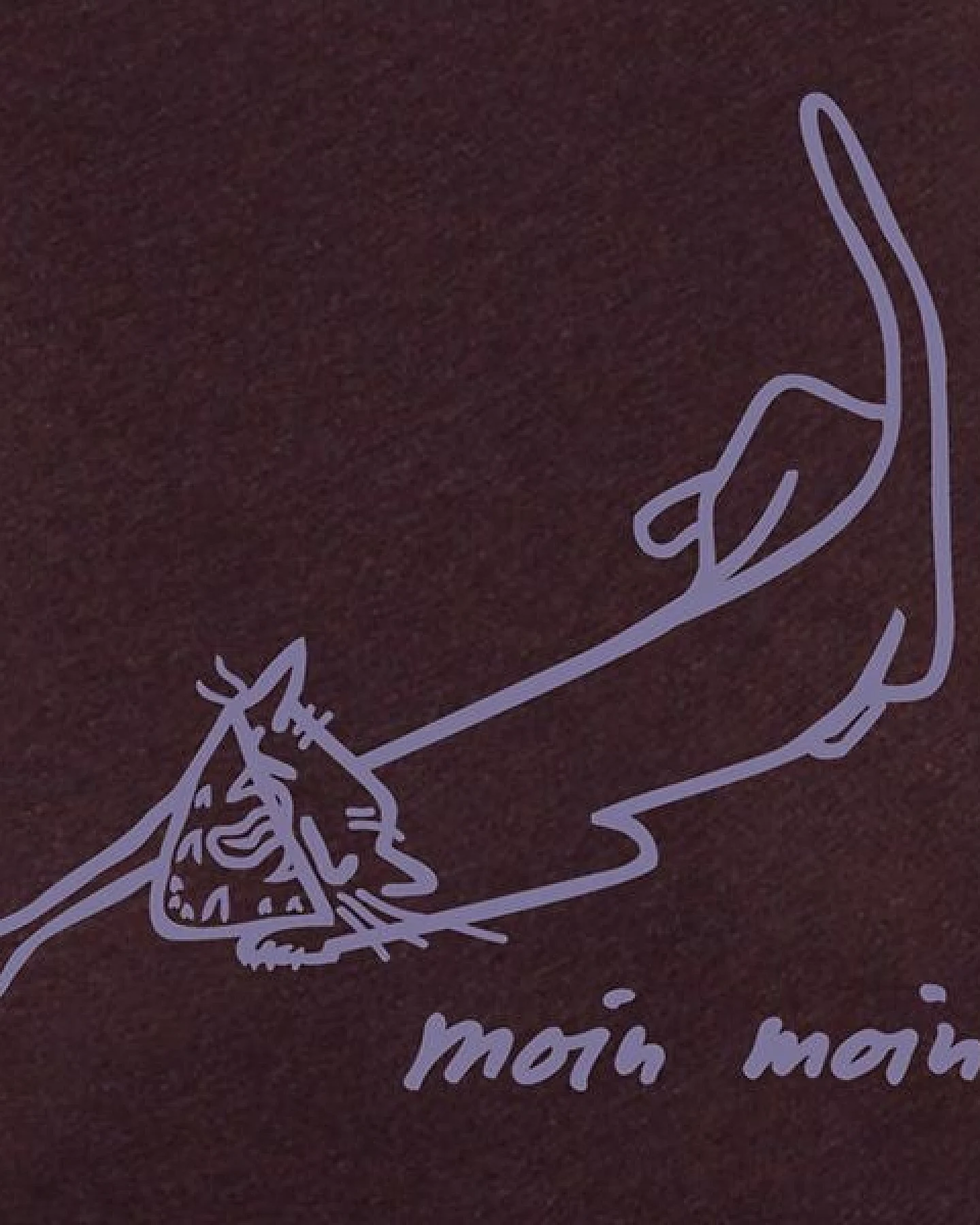little kiwi Damen T-Shirt, "Moin Moin" – Ansicht 2