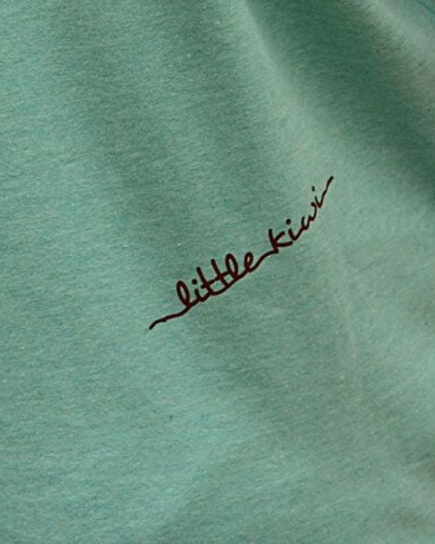 little kiwi Herren T-Shirt, "Aufsteigen" – Ansicht 4