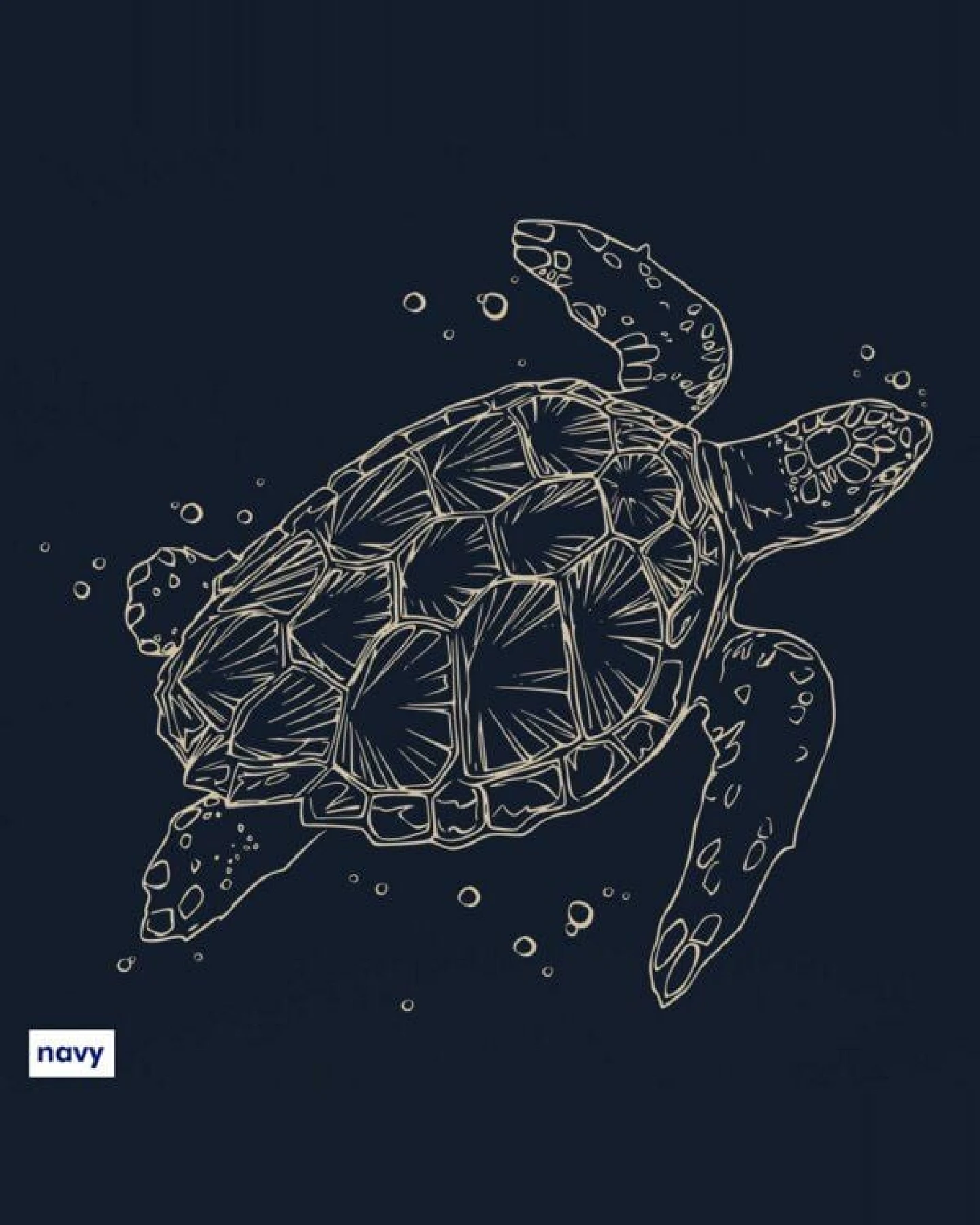 roots of compassion Schildkröte T-Shirt bio & fair & vegan - gerader Schnitt - Tierliebe, Tiere – Ansicht 3