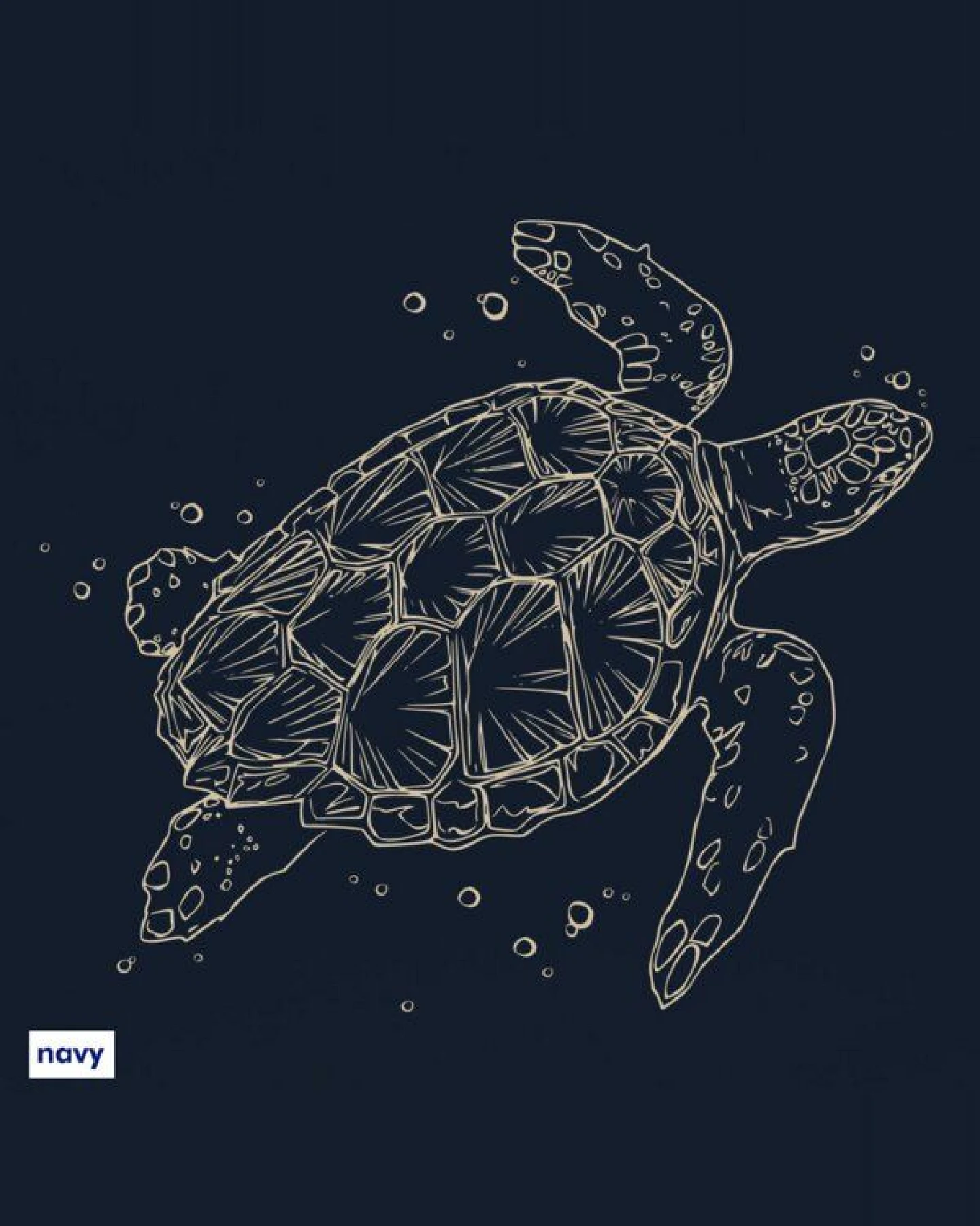 roots of compassion Schildkröte T-Shirt bio & fair & vegan - gerader Schnitt - Tierliebe, Tiere – Ansicht 3