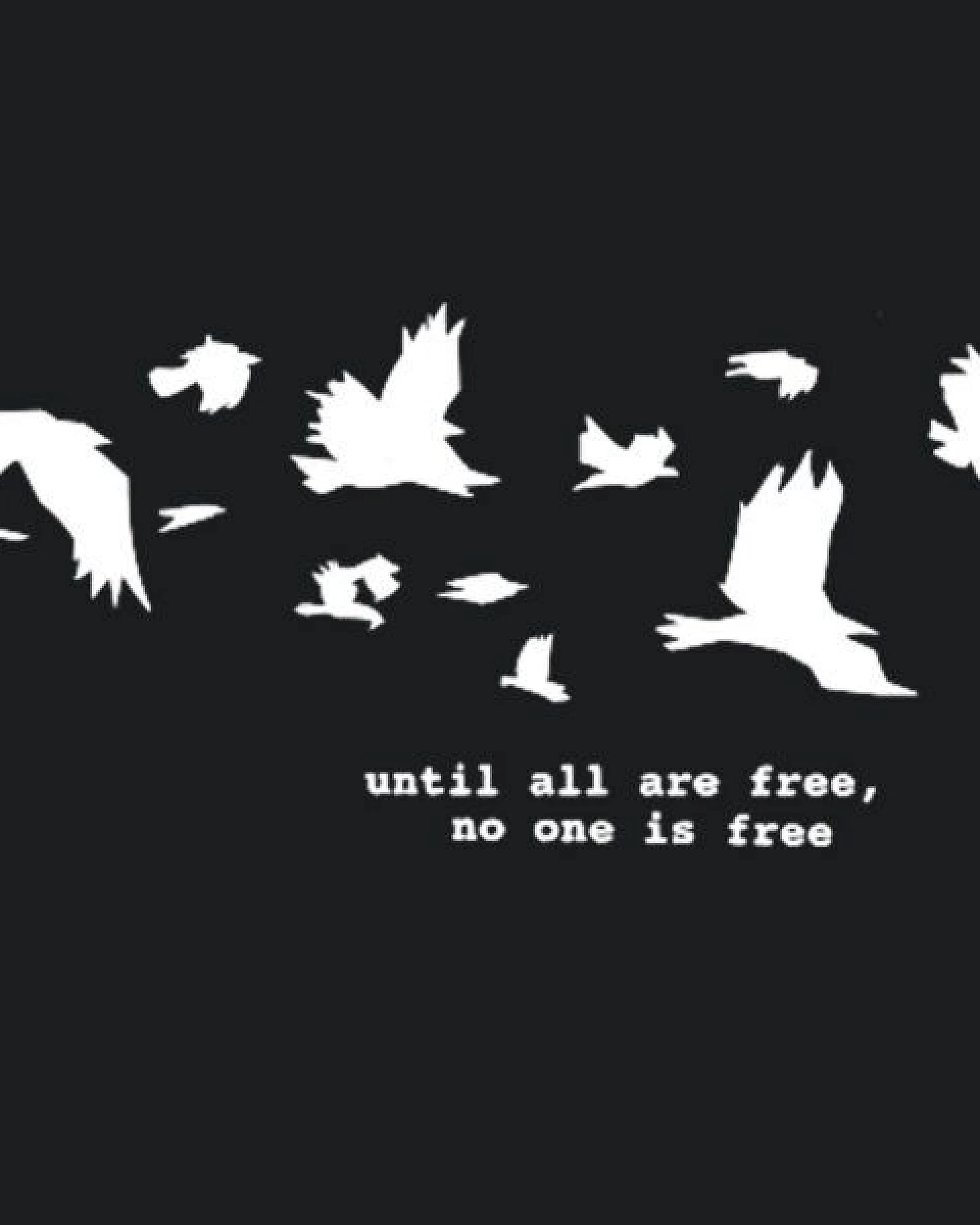 roots of compassion Until all are free Vögel Shirt bio & fair & vegan - gerader Schnitt – Ansicht 2