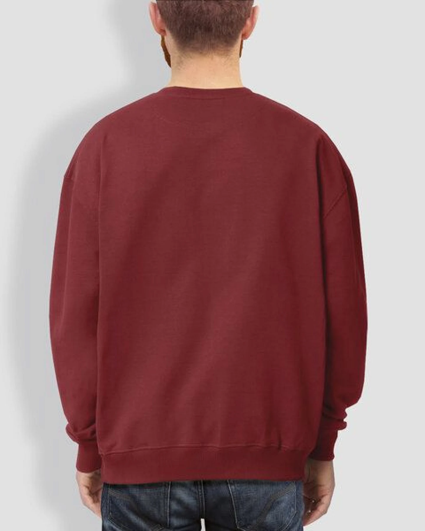 little kiwi Herren Sweater, "Kleiner Kiwi", Red Earth – Ansicht 2