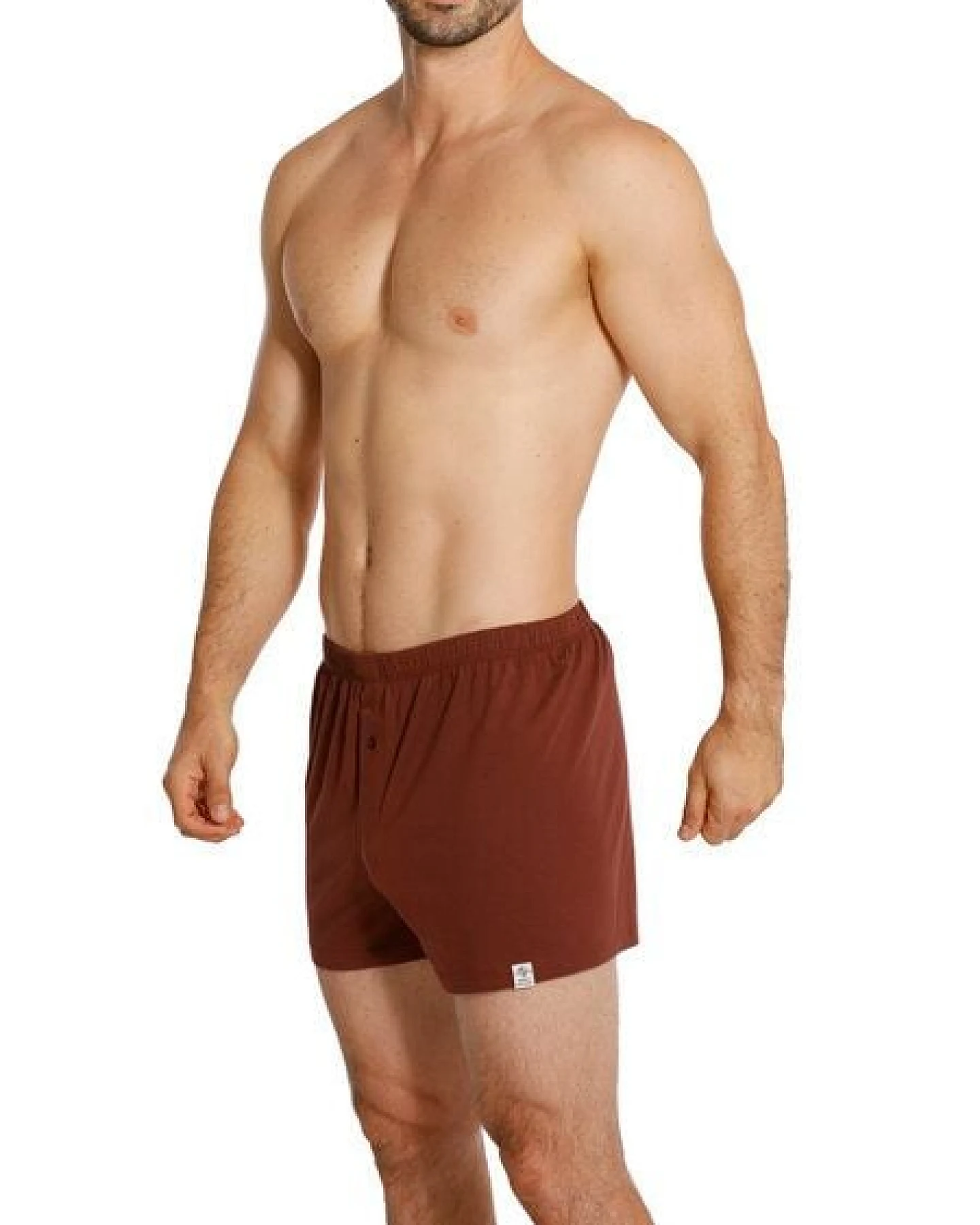 Haasis Bodywear Herren Jersey Boxer, mit Knopfleiste, 2er Pack, Single-Jersey – Ansicht 4