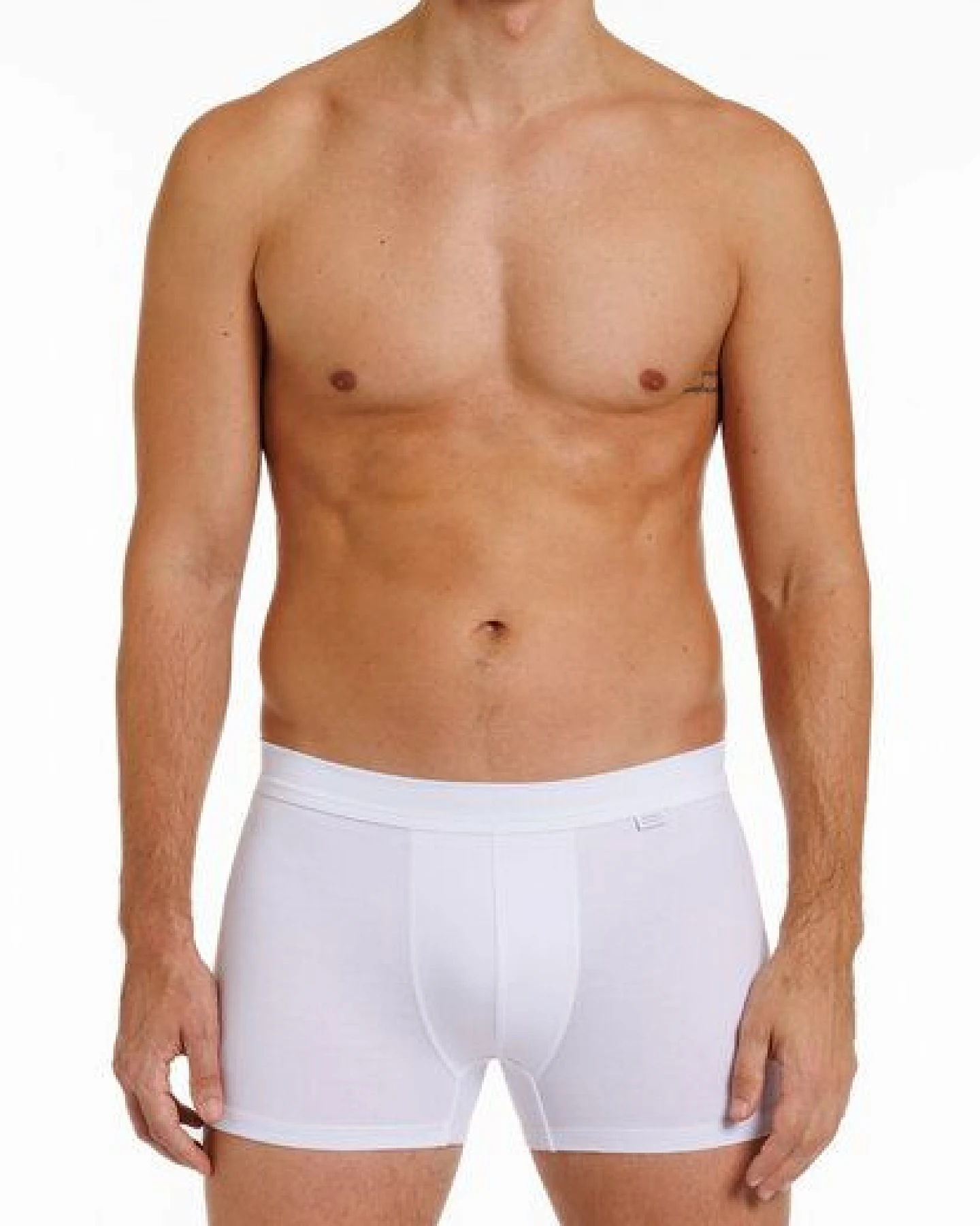 Haasis Bodywear Herren Pants, ohne Eingriff, Weichgummibund, 2er Pack, GOTS zertifiziert – Ansicht 2